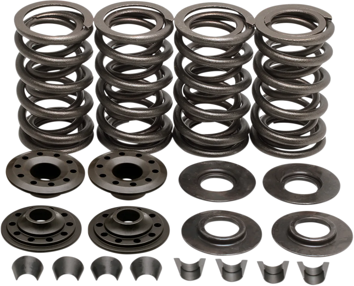 Racing Valve Spring Kit