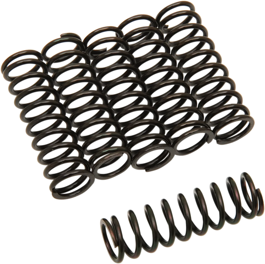 Clutch Spring Kit