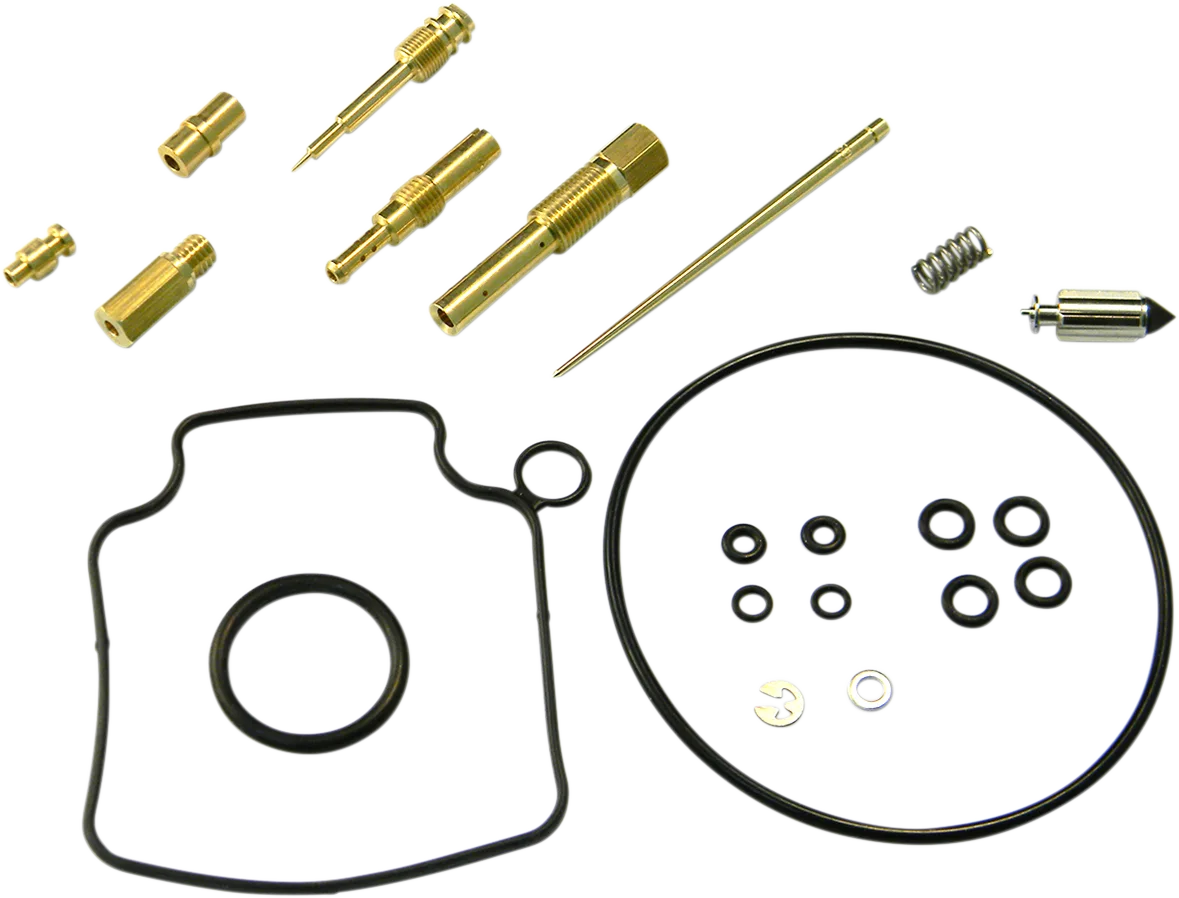 Carburetor Repair Kit