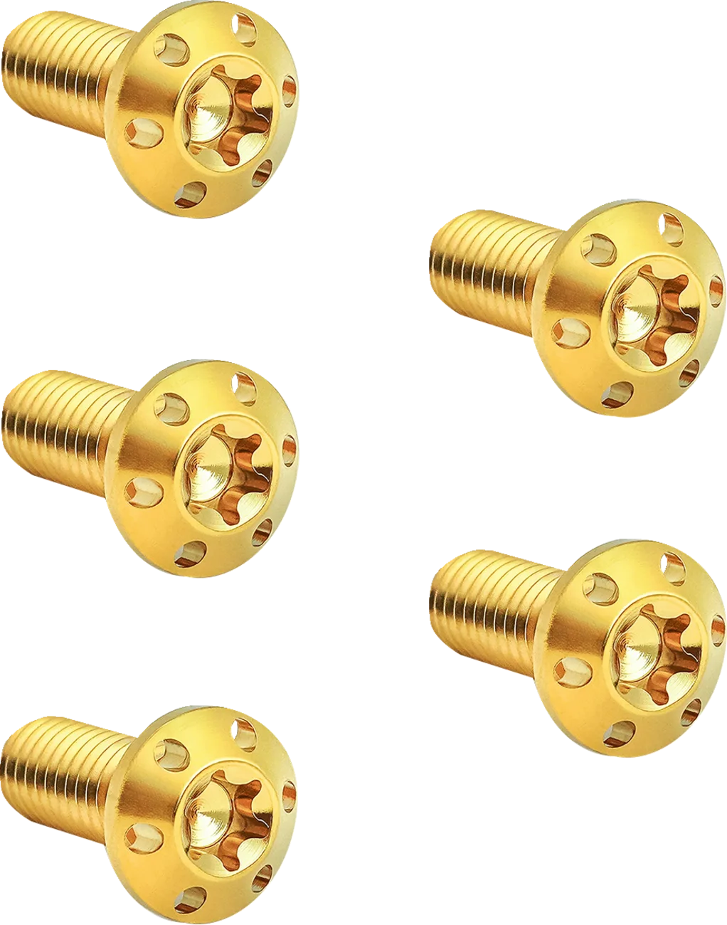 Holeshot Brake Rotor Bolt Kit