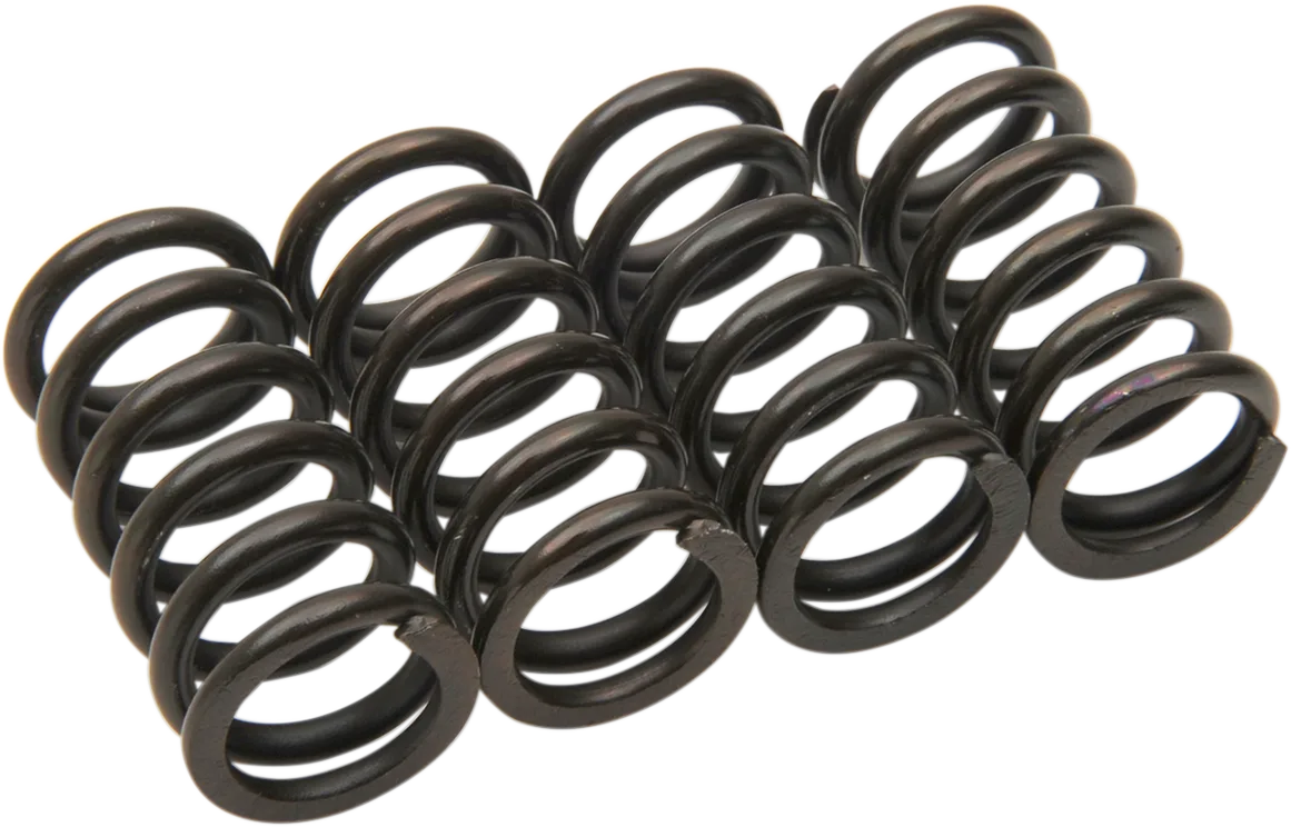 Clutch Spring Kit