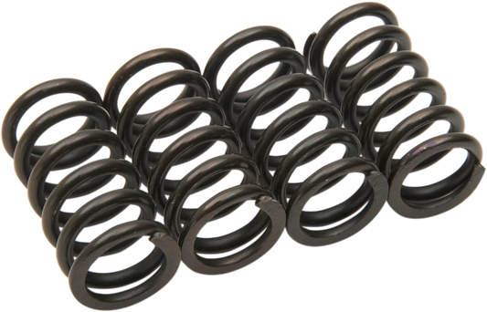 Clutch Spring Kit