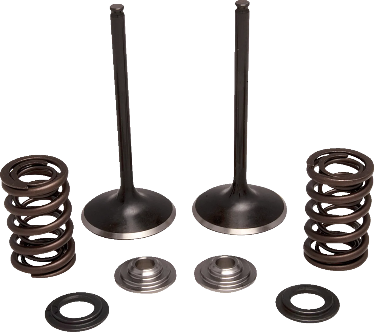 Intake Stainless Conversion Valve and Spring Kit