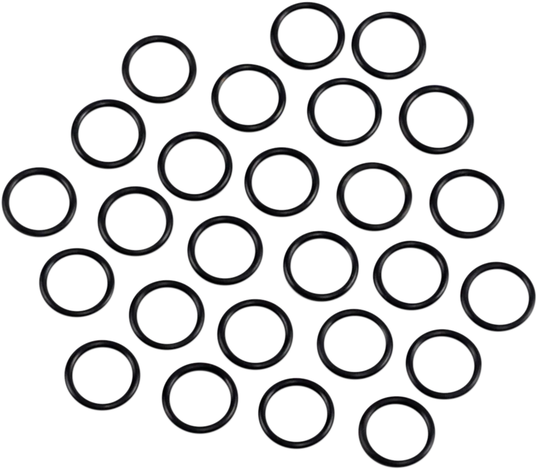 Oil Pump O-Ring