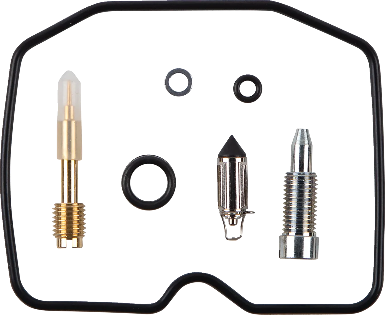 Carburetor Repair Kit