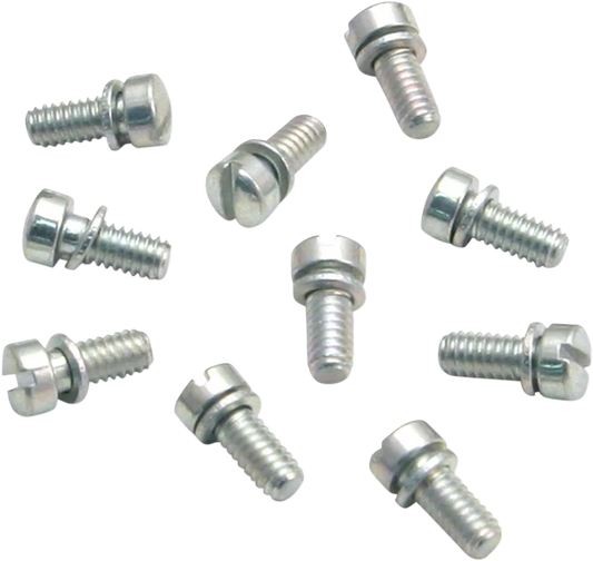 Slotted Screws
