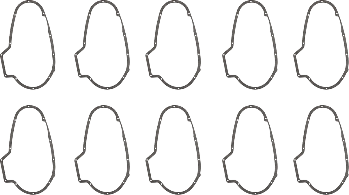 Primary Gasket