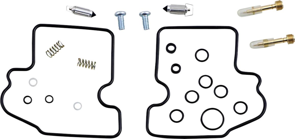 Carburetor Repair Kit