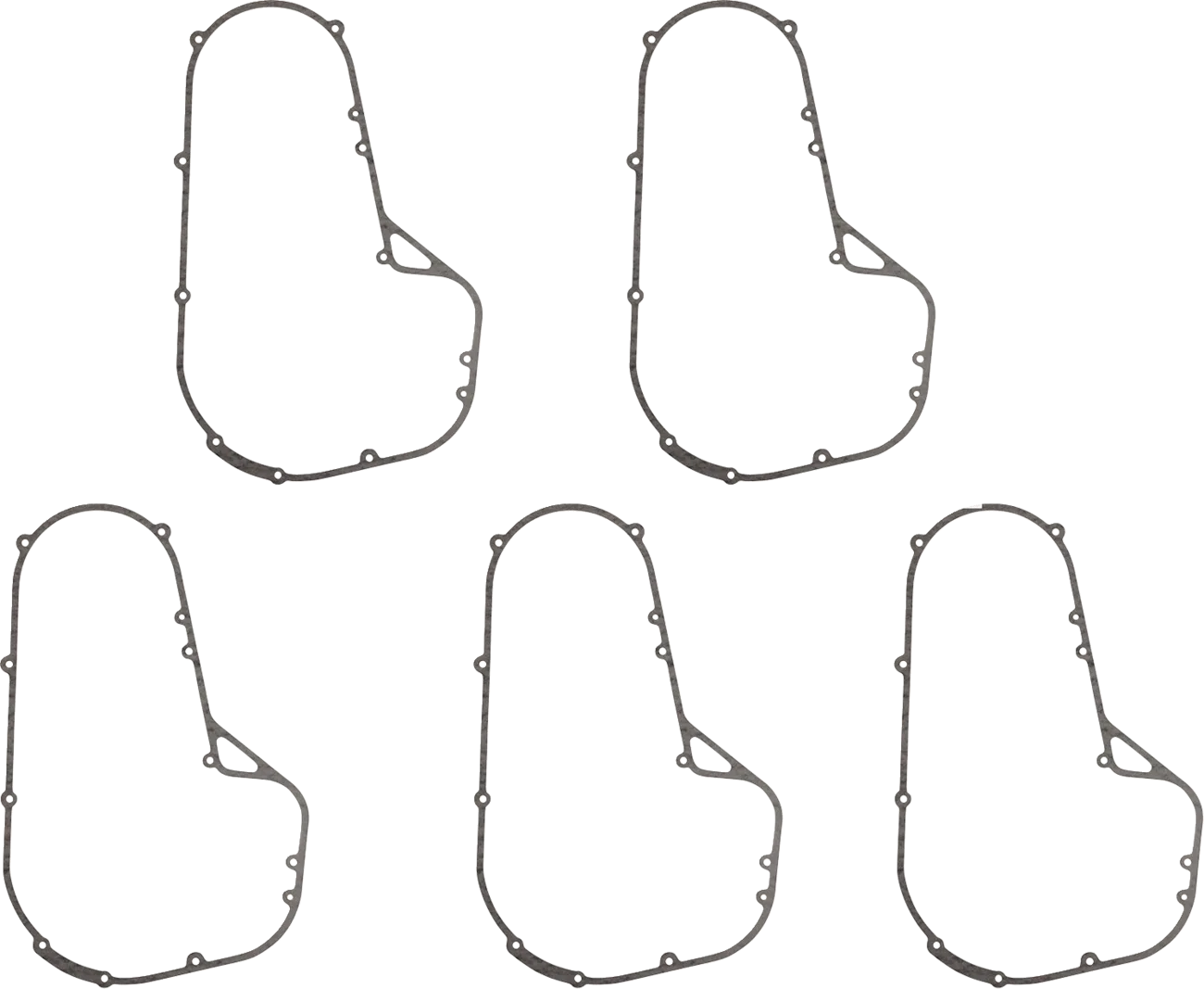 Primary Gasket