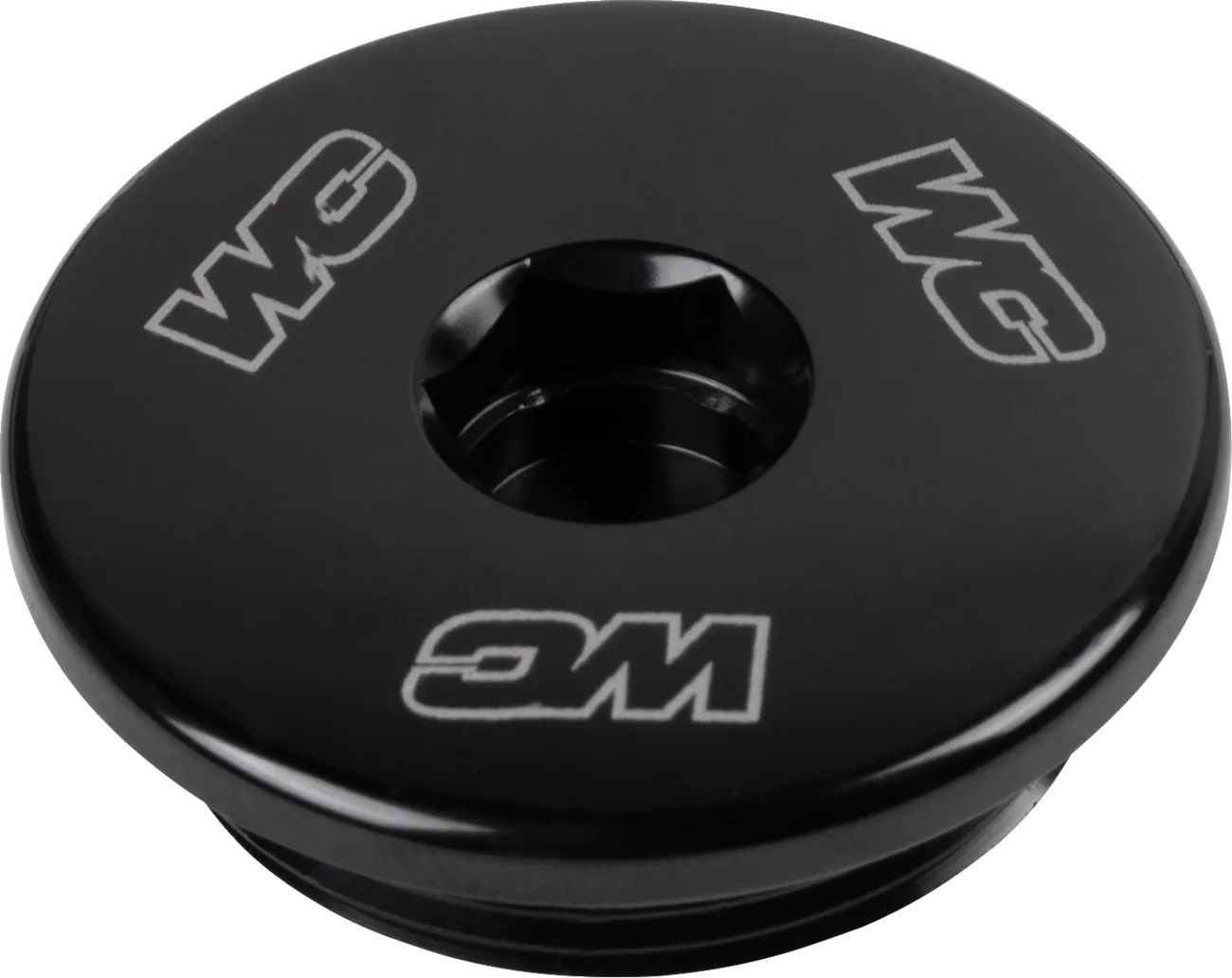 Engine Plug