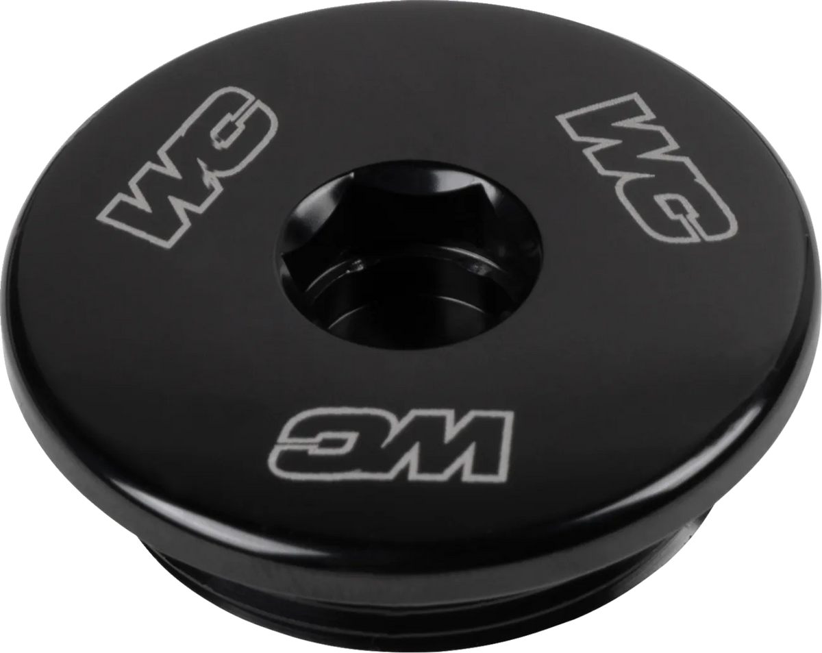 Engine Plug