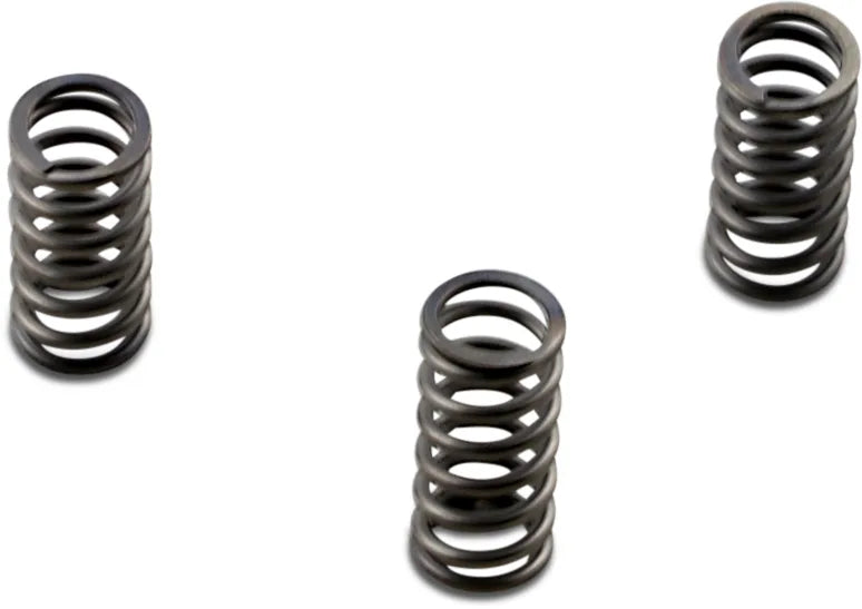 CSK Series Heavy Duty Clutch Spring Kit