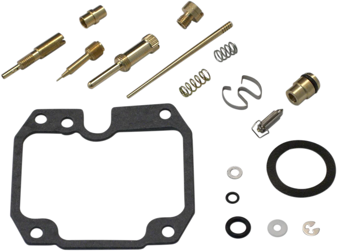 Carburetor Repair Kit