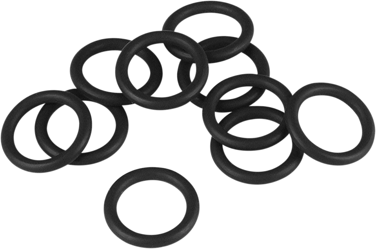 Air Cleaner Backplate O-Ring