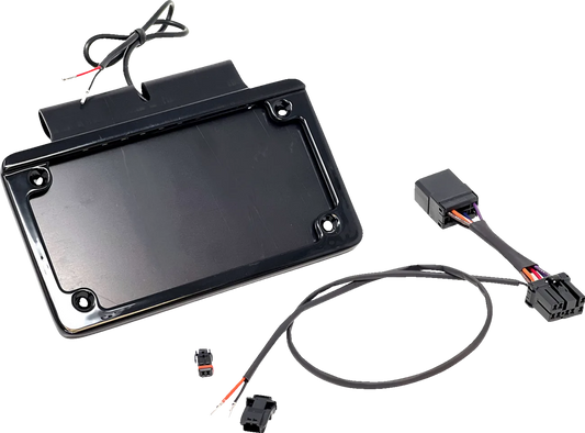 License Plate Frame