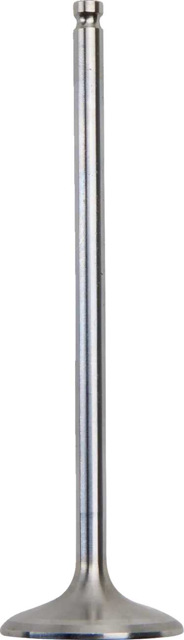 Intake Valve