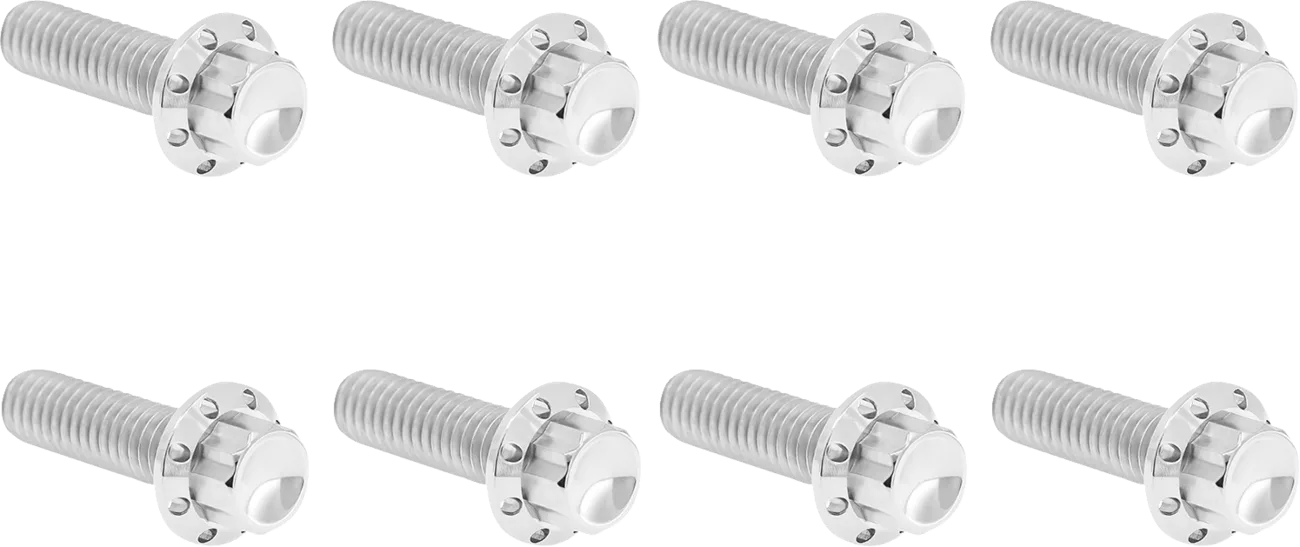 Transmission Trap Door Titanium 12-Point Bolt Kit — For M8 Models
