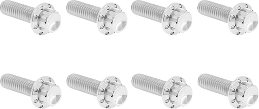 Transmission Trap Door Titanium 12-Point Bolt Kit — For M8 Models