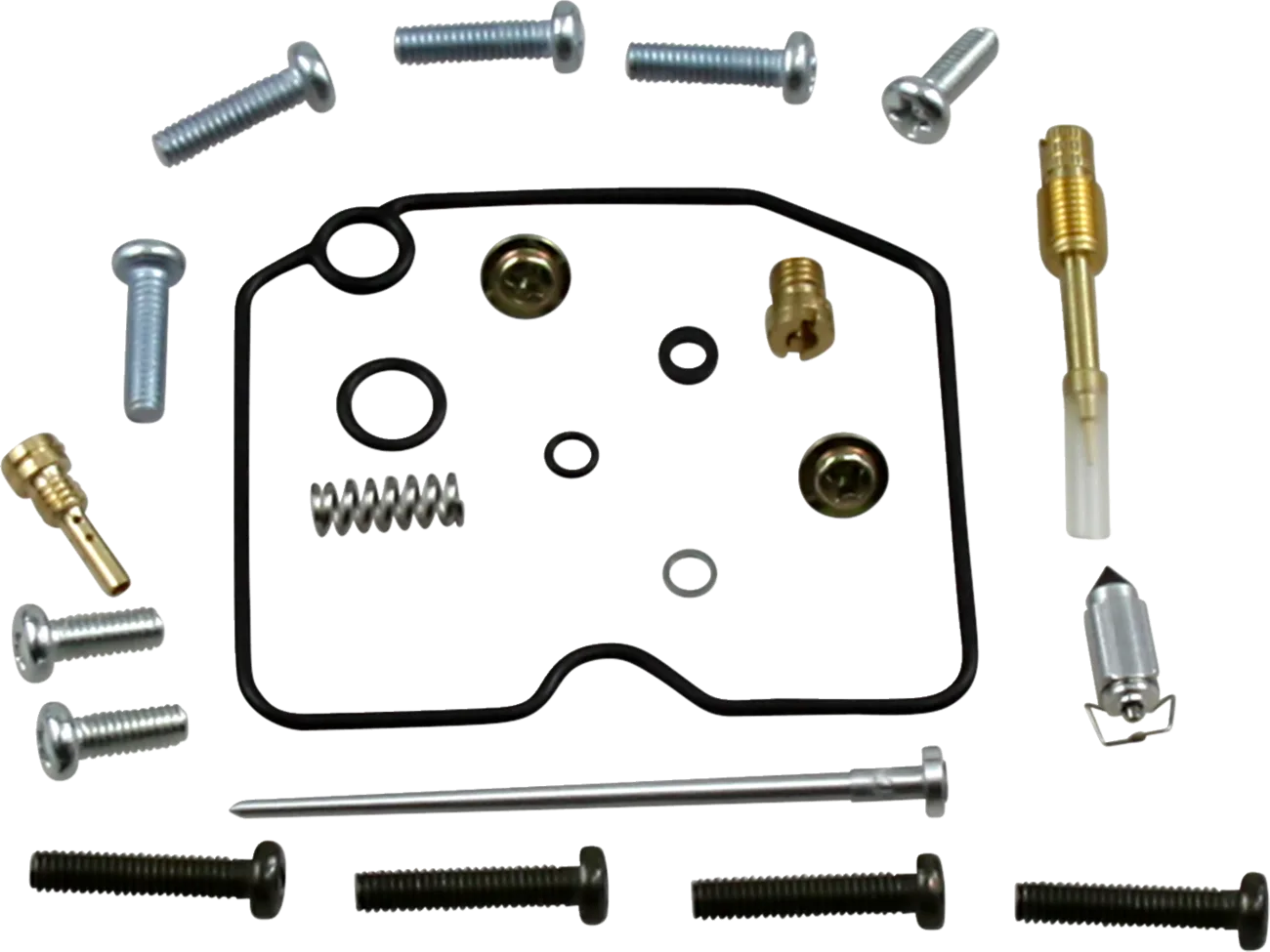 Carburetor Repair Kit