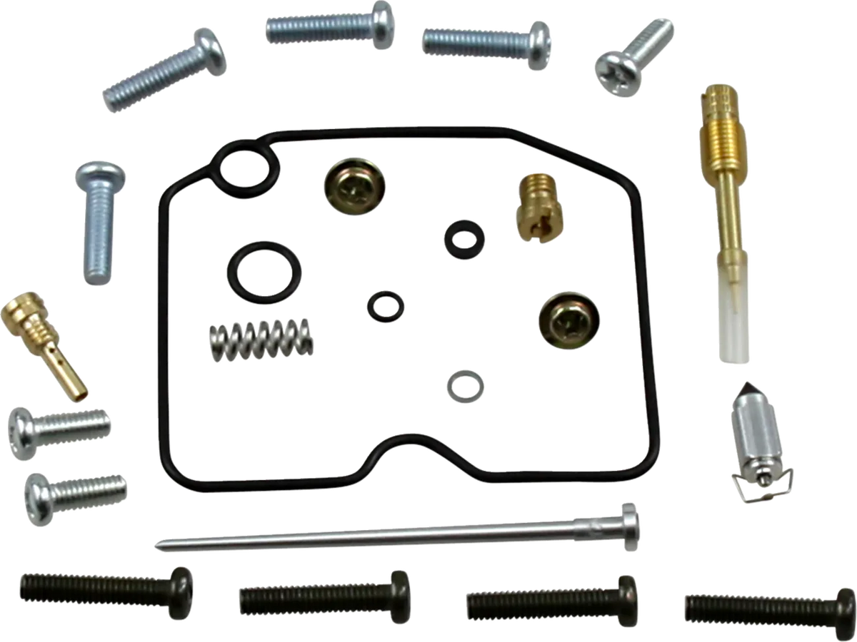 Carburetor Repair Kit