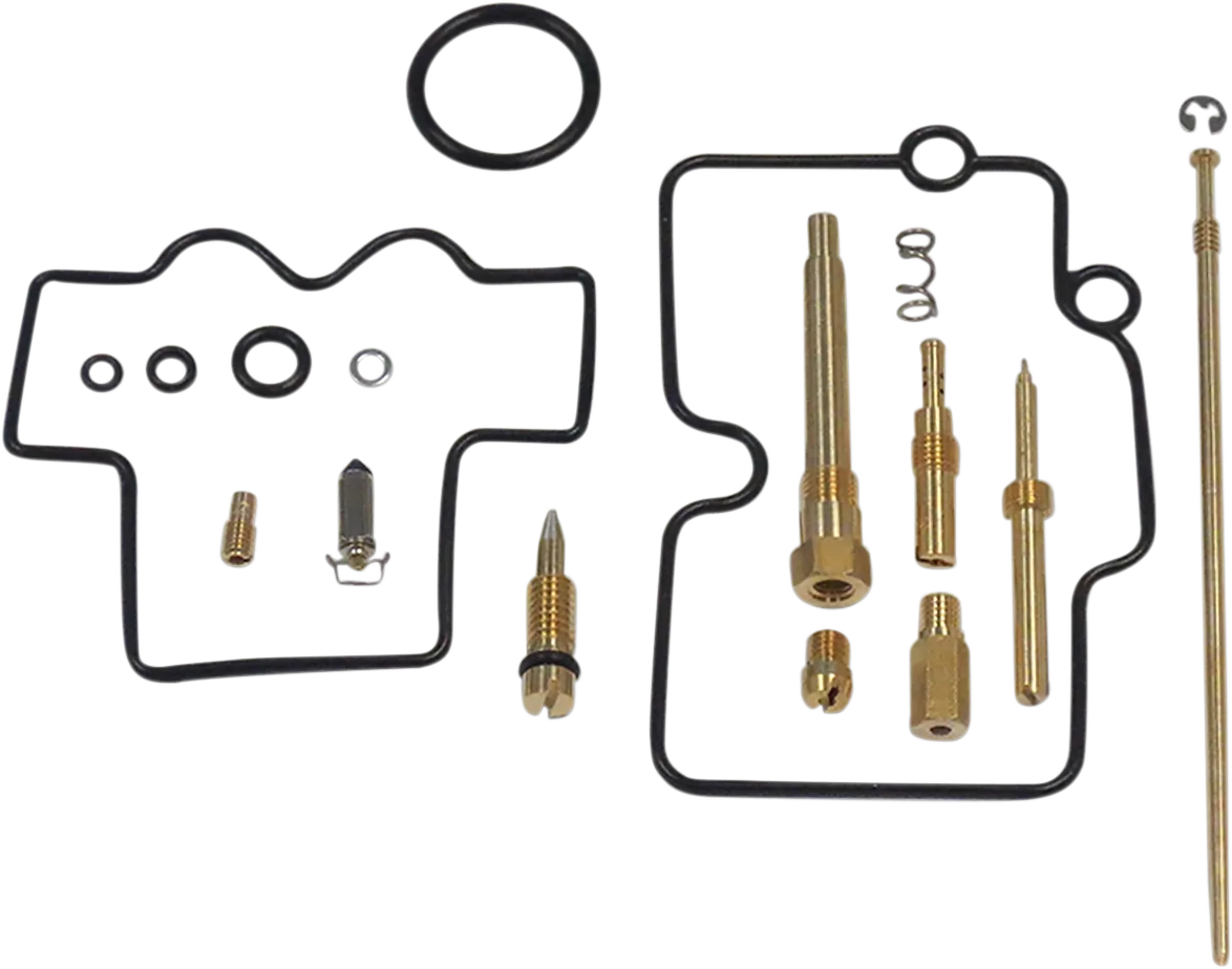 Carburetor Repair Kit