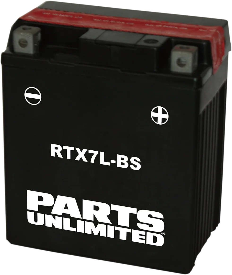 AGM Maintenance-Free Battery
