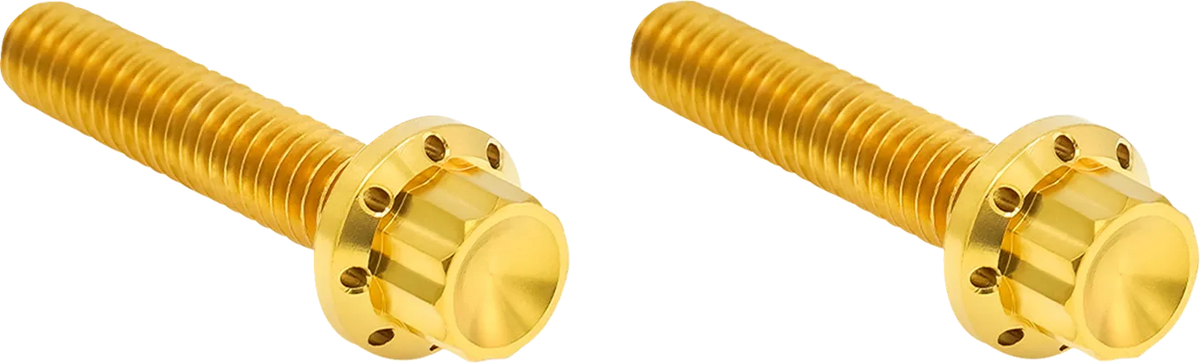 Transmission Side Cover Titanium 12-Point Bolt Cover