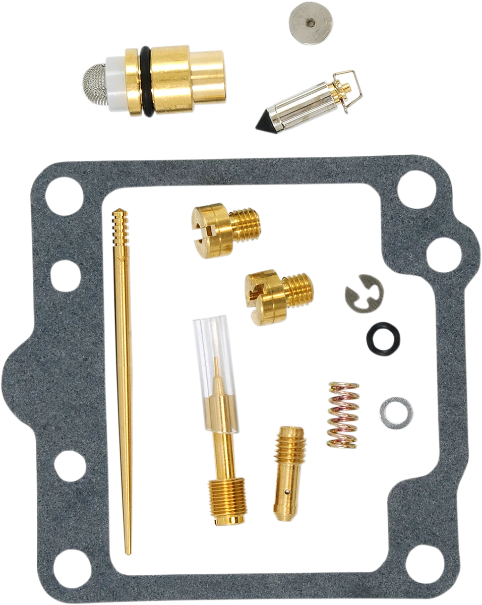 Carburetor Repair Kit