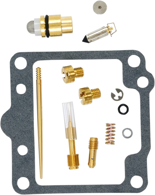 Carburetor Repair Kit