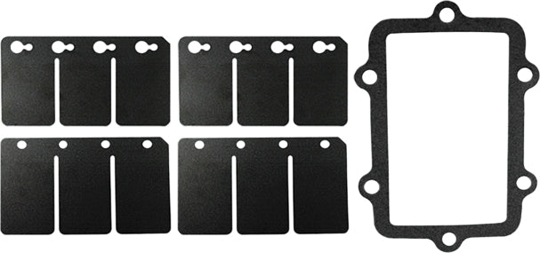 Reed Valve Rebuild Kit