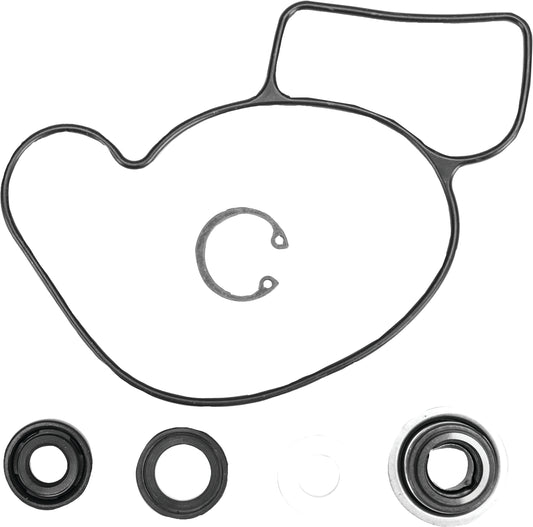 Water Pump Rebuild kit