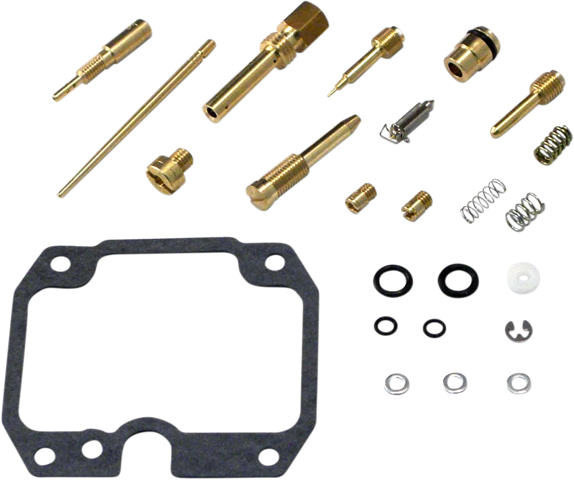 Carburetor Repair Kit