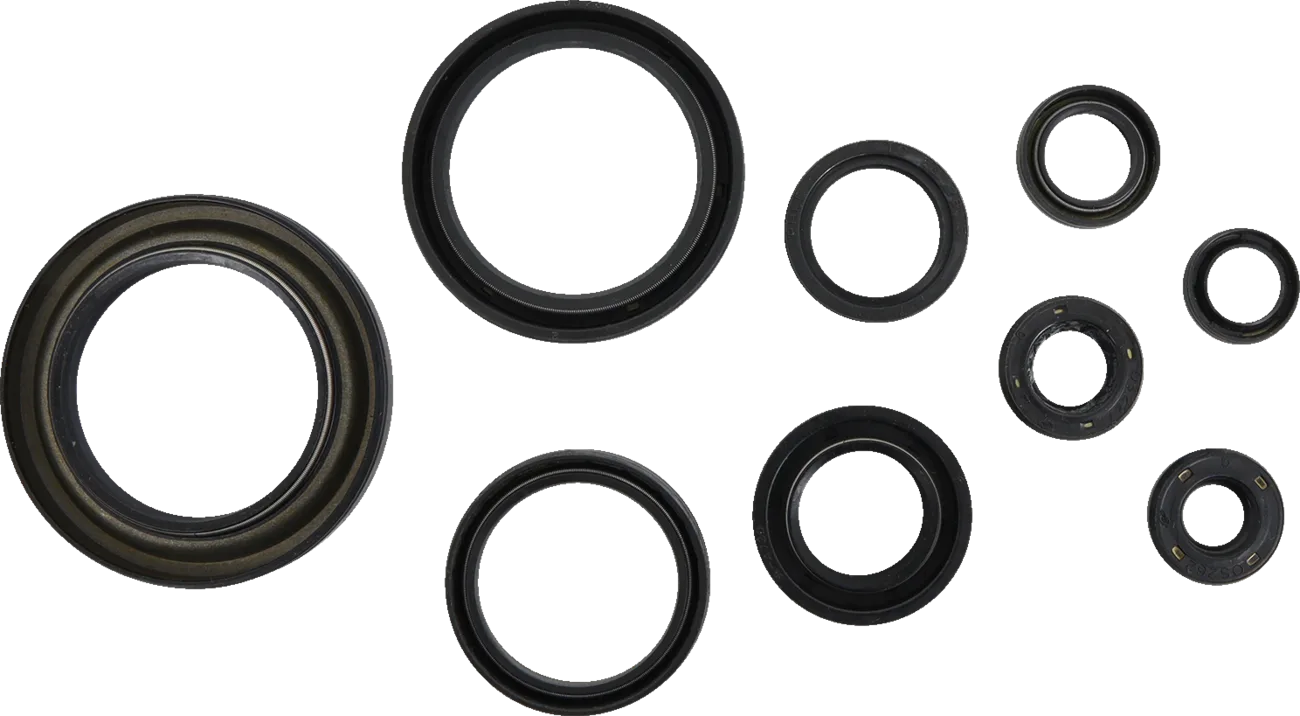 Oil Seal Kit