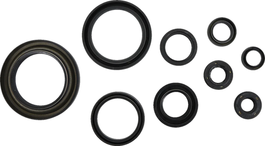Oil Seal Kit