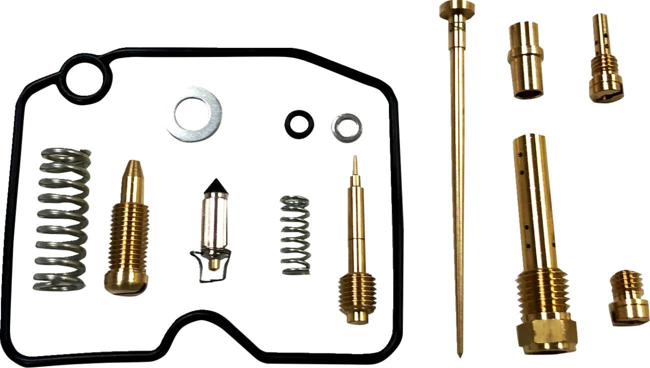 Carburetor Repair Kit
