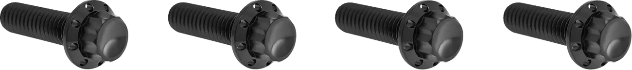 Transmission Top Cover Titanium 12-Point Bolt Kit