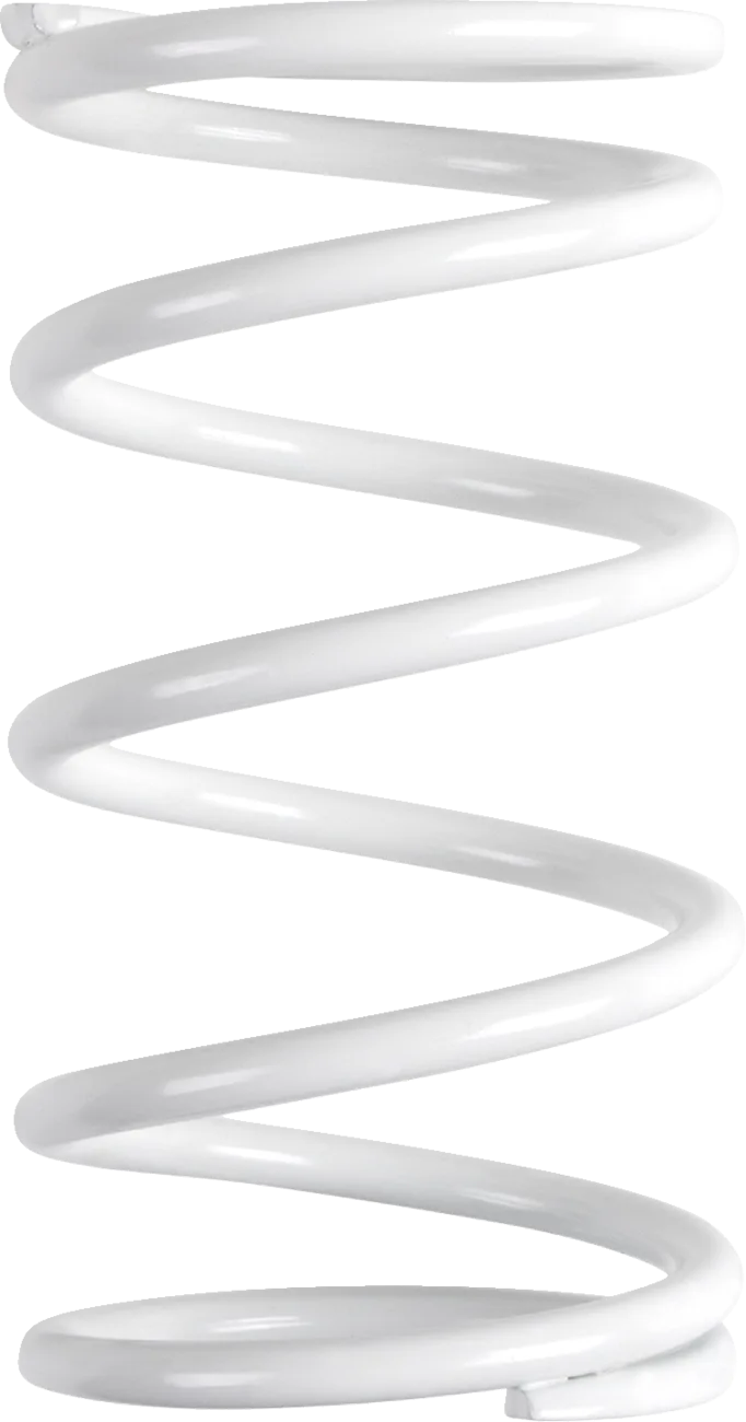 Polaris Primary Clutch Spring