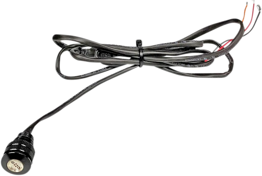 LED Boltz