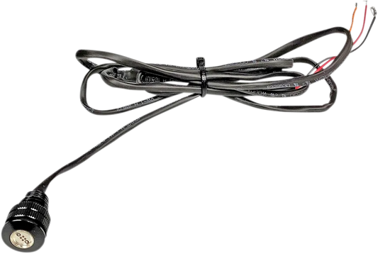 LED Boltz