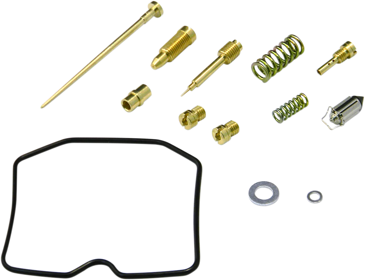 Carburetor Repair Kit