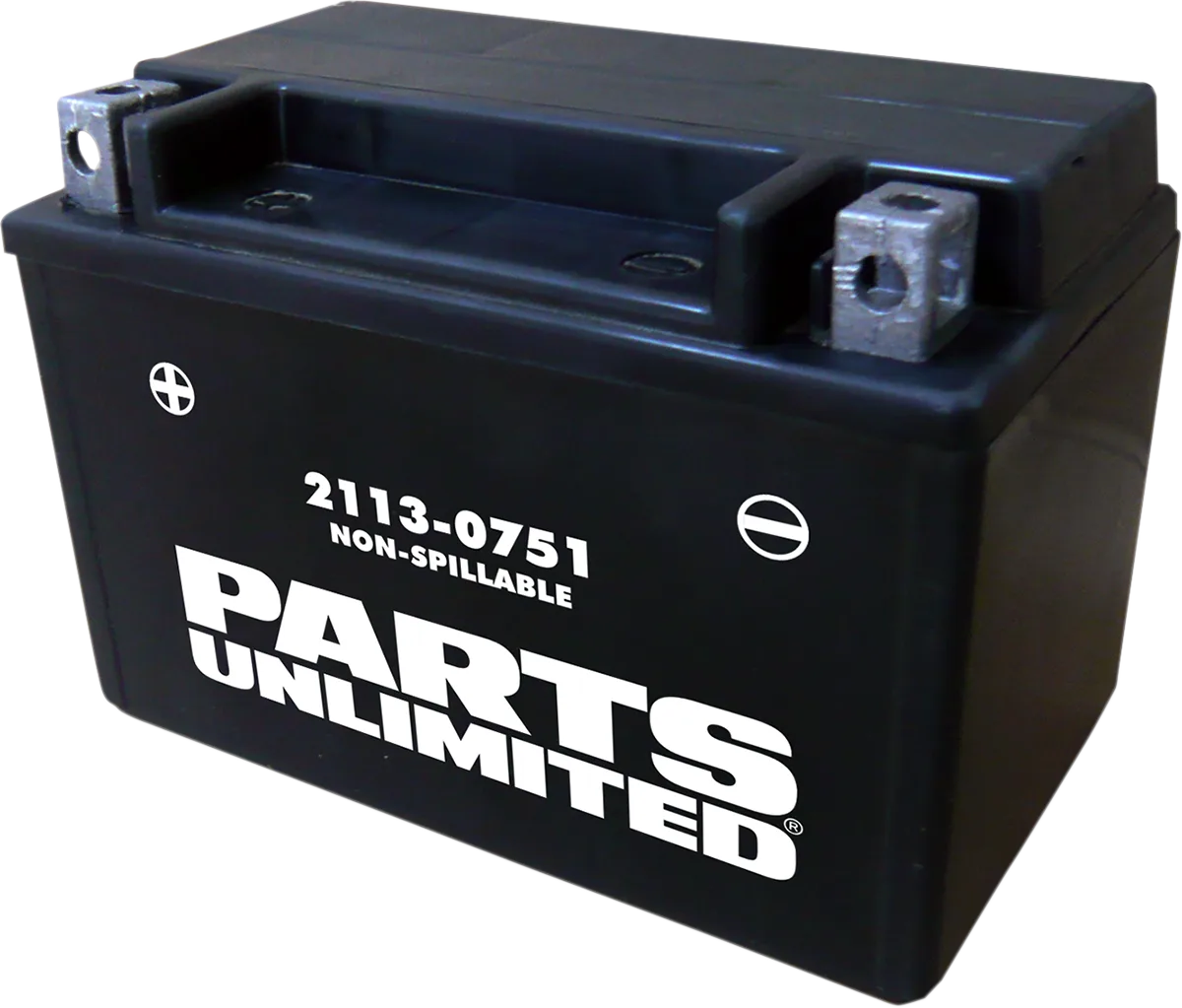 AGM Maintenance-Free Battery