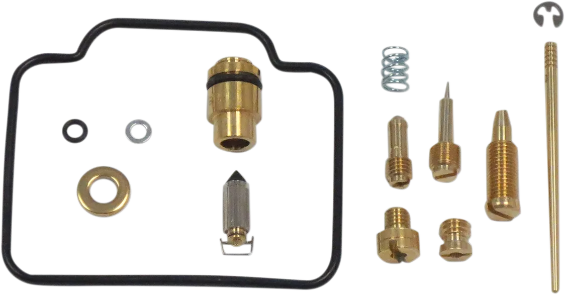 Carburetor Repair Kit