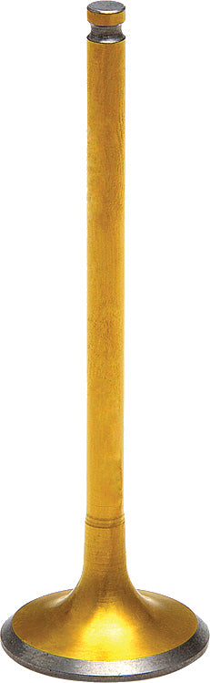 Intake Valve