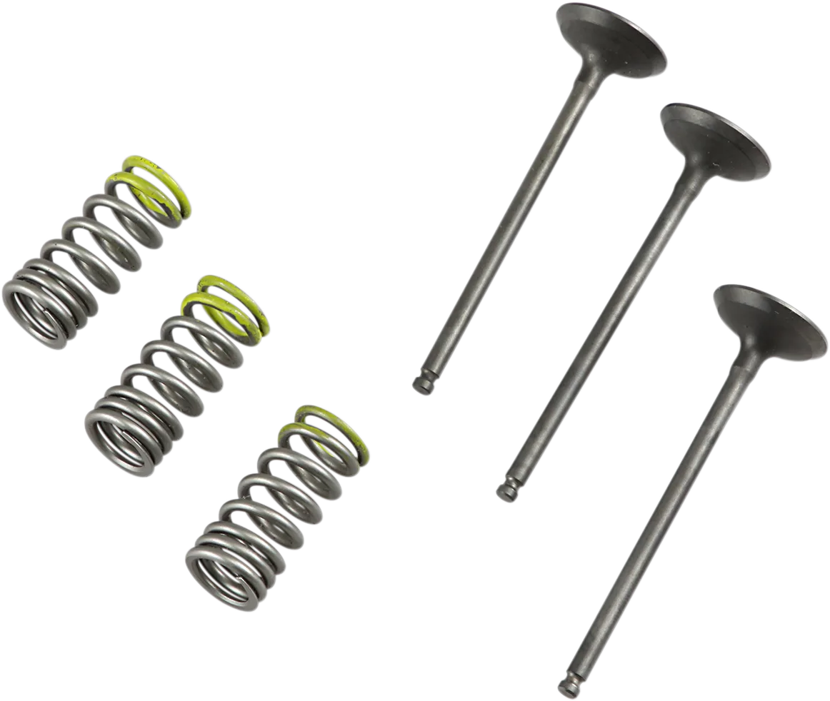 Valve and Spring Kit