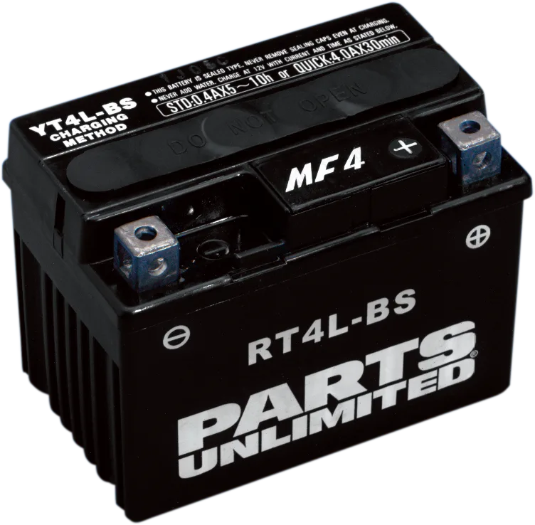 AGM Maintenance-Free Battery