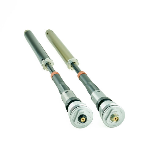 Front Fork Cartridges 25IDS TRIUMPH DAYTONA 660 +10mm 2024>