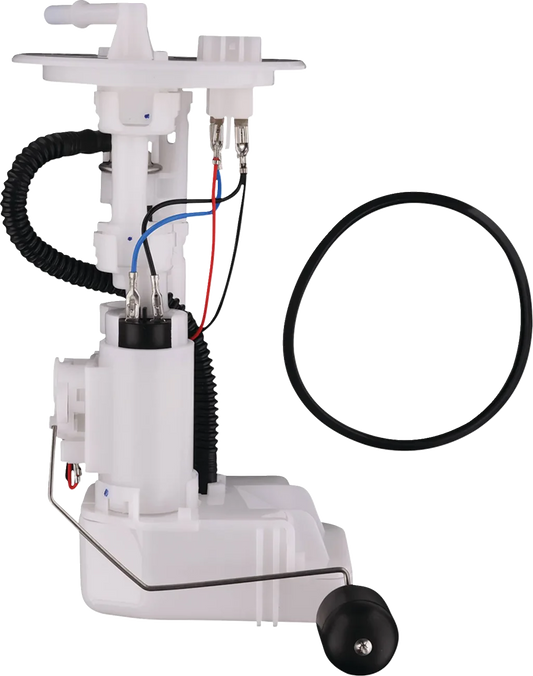 Fuel Pump Module