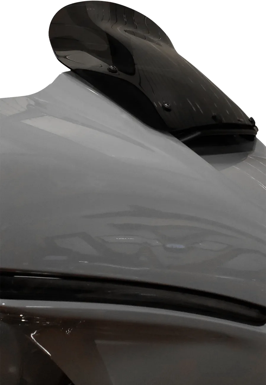 Windshield