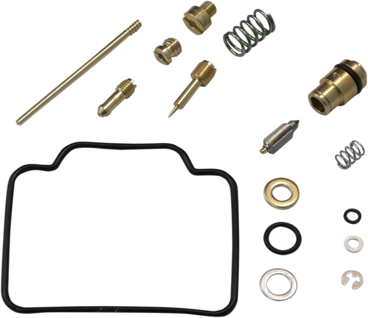 Carburetor Repair Kit