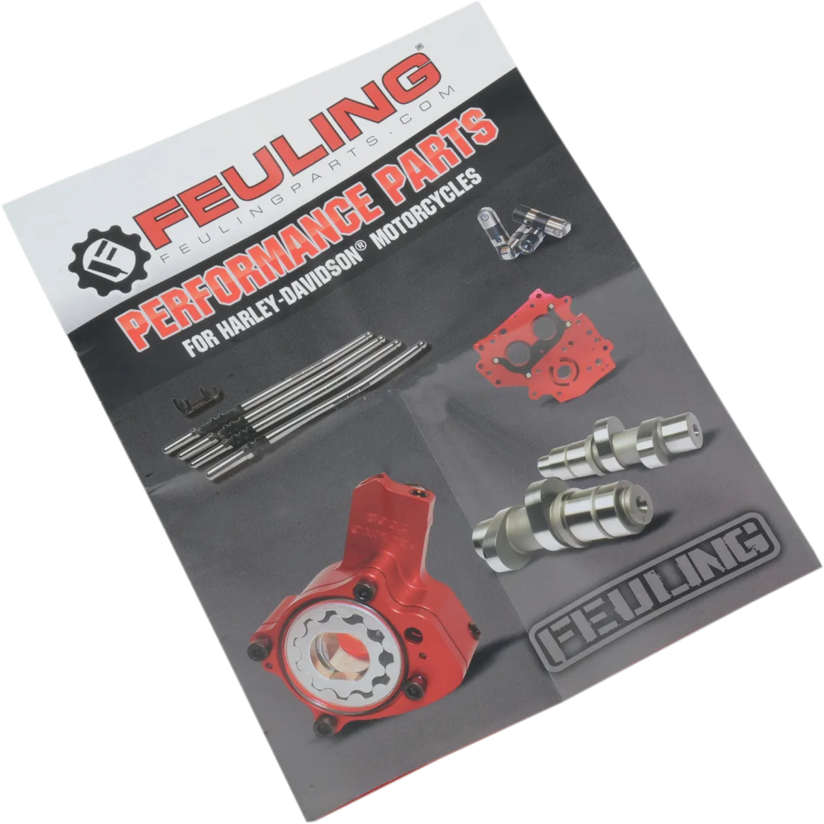 FLYERS FEULING 50PK